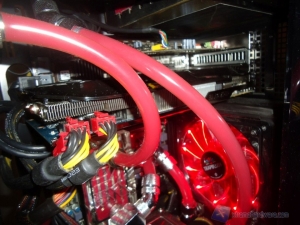 kingston predator_28